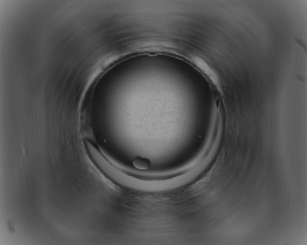 X0000091731384200709071449