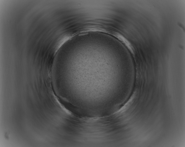 X0000091731385200709071449