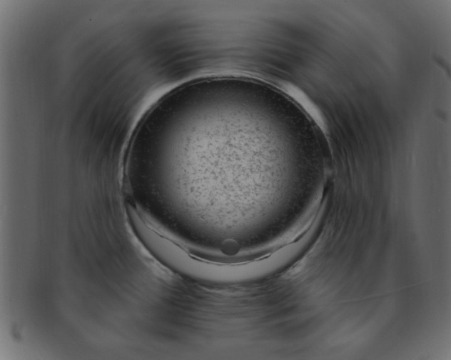 X0000091731388200709071449