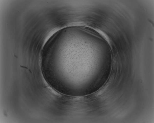 X0000091731390200709071449