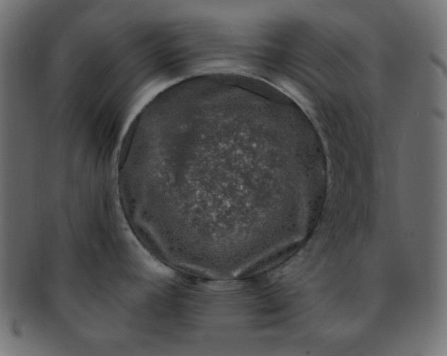 X0000091731392200709071449