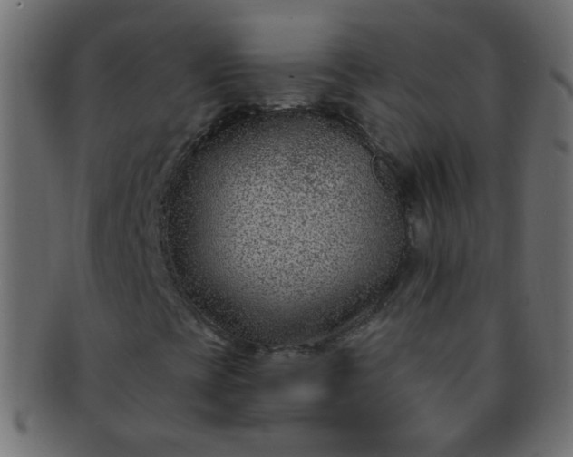 X0000091731393200709071448