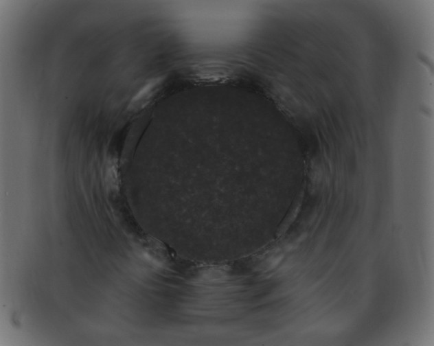 X0000091731394200709071448