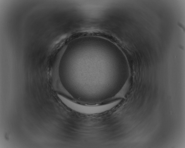 X0000091731398200709071449