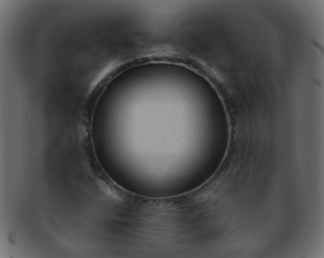 X0000091731400200709071449