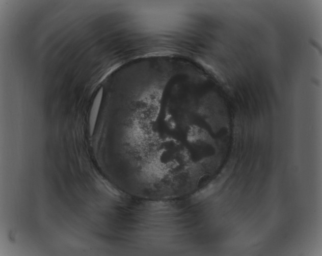 X0000091731401200709071449