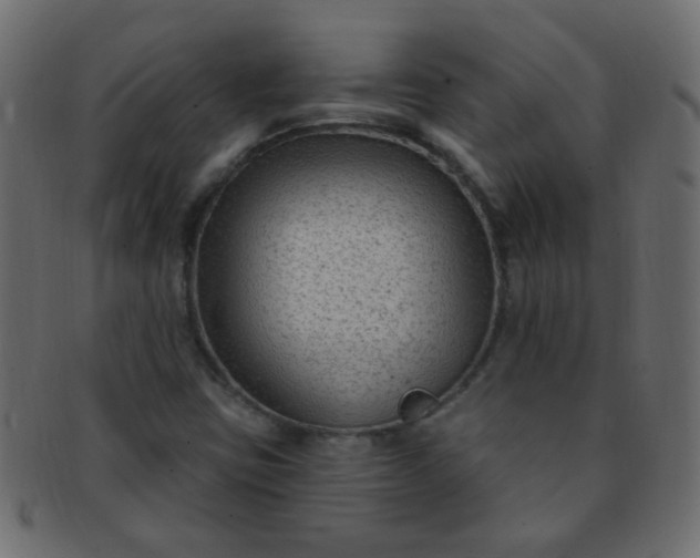 X0000091731403200709071449