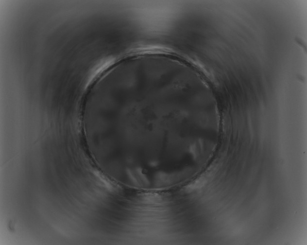 X0000091731405200709071449