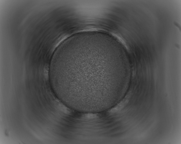 X0000091731409200709071449