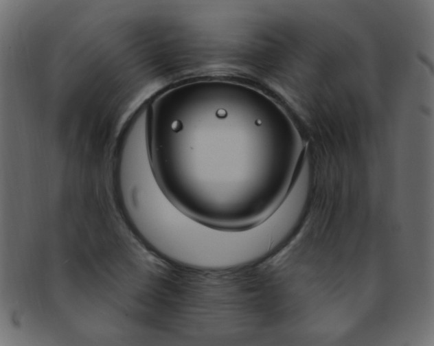 X0000091731410200709071449