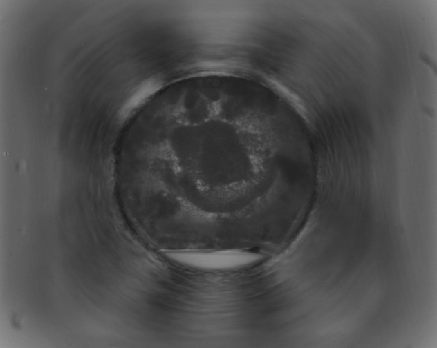 X0000091731411200709071449