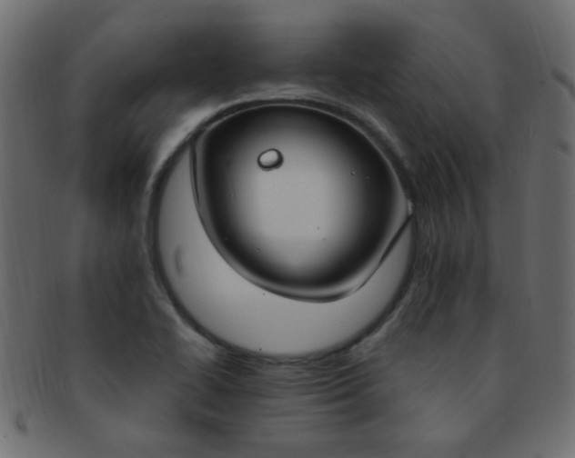 X0000091731414200709071449