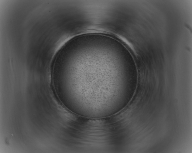 X0000091731415200709071449