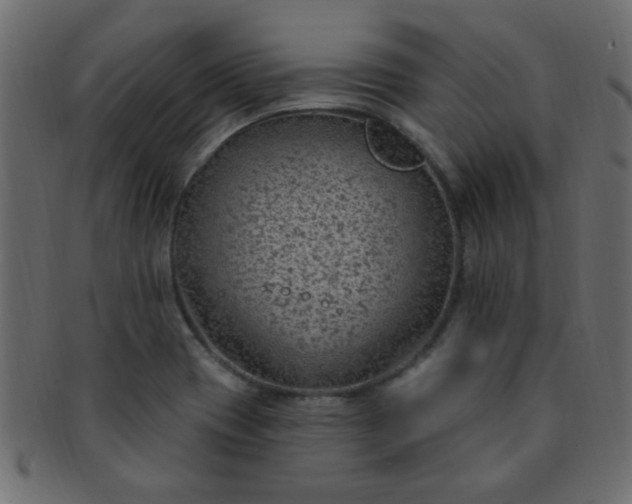 X0000091731417200709071449