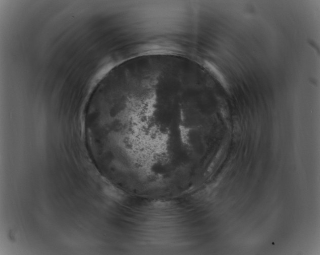 X0000091731419200709071449