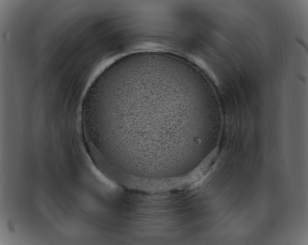 X0000091731421200709071449