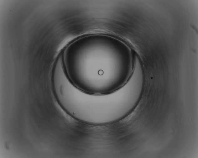 X0000091731422200709071449