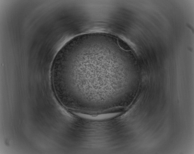 X0000091731423200709071449