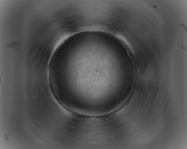 X0000091731424200709071449