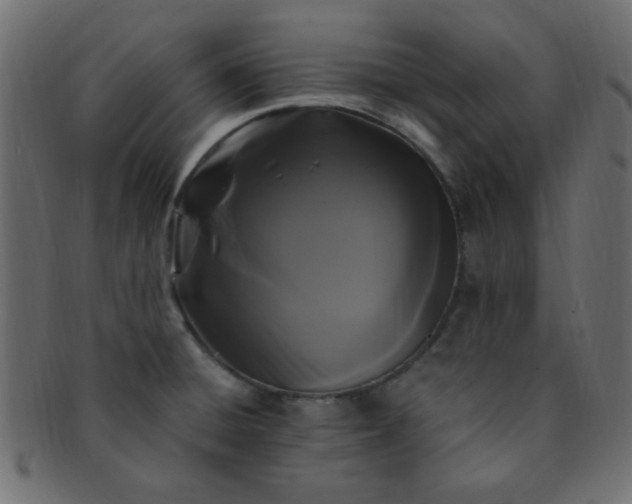 X0000091731428200709071449