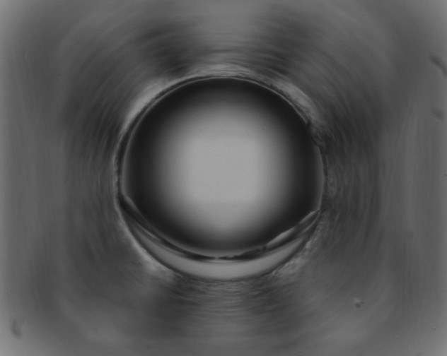 X0000091731430200709071449