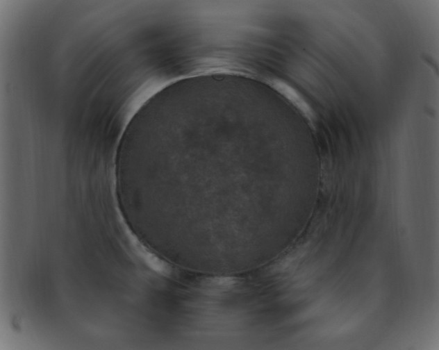 X0000091731431200709071449