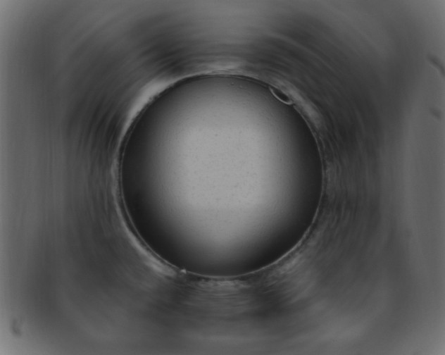 X0000091731432200709071449