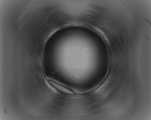 X0000091731433200709071449