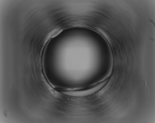 X0000091731434200709071449