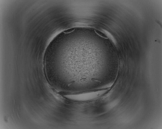 X0000091731435200709071449