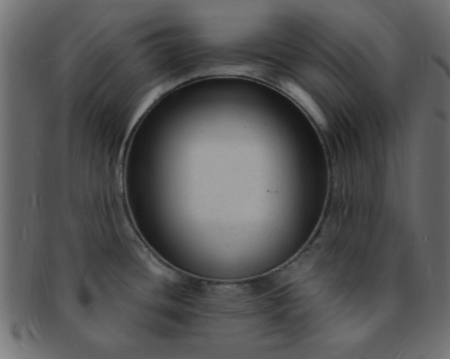 X0000091731436200709071449