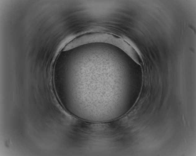 X0000091731437200709071449