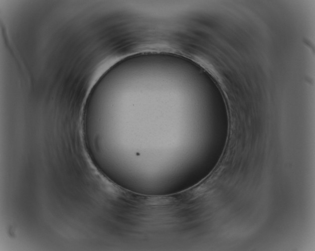 X0000091731440200709071449