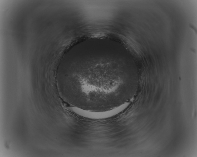 X0000091731441200709071448