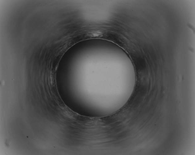 X0000091731442200709071448