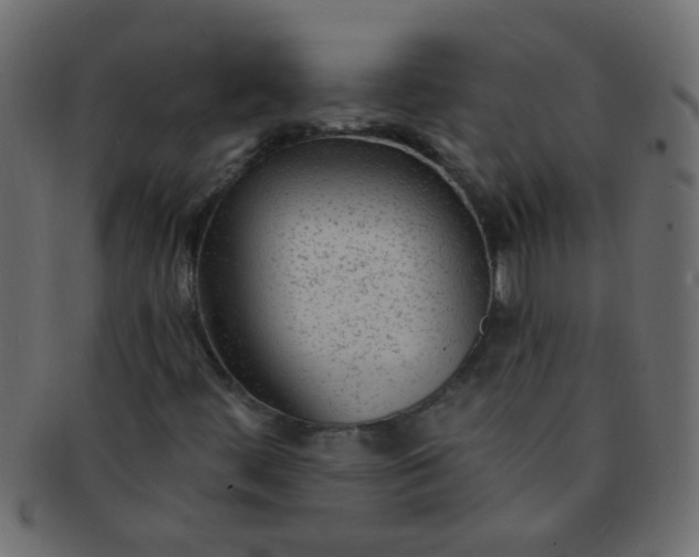 X0000091731444200709071448