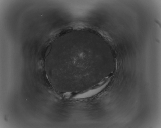 X0000091731445200709071448