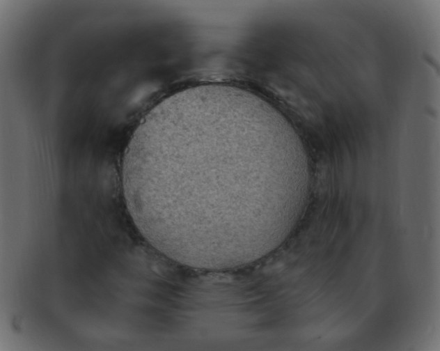 X0000091731446200709071448