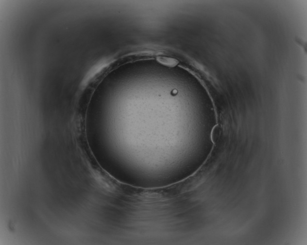 X0000091731448200709071448