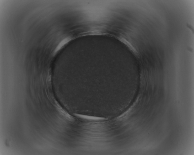 X0000091731450200709071448