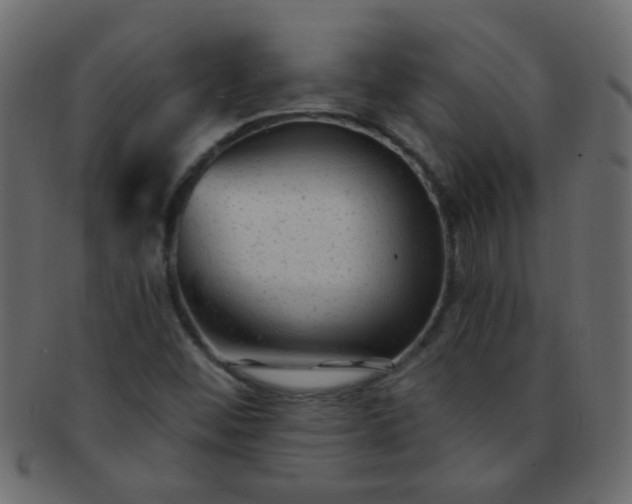 X0000091731452200709071448