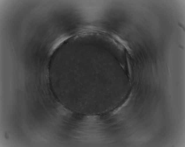 X0000091731453200709071448