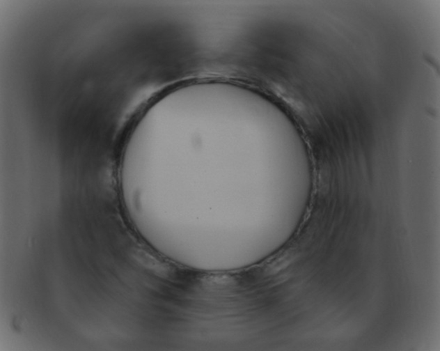 X0000091731454200709071448