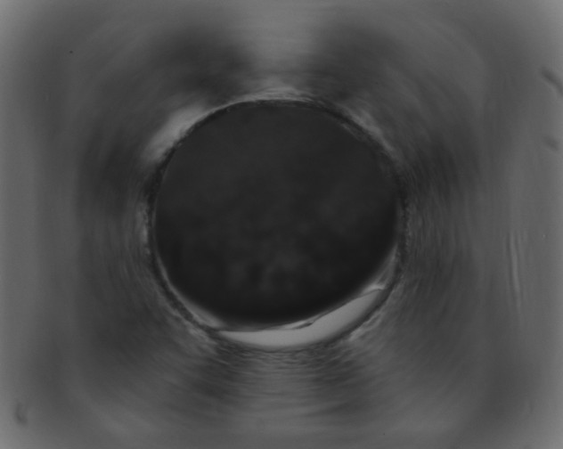 X0000091731455200709071448