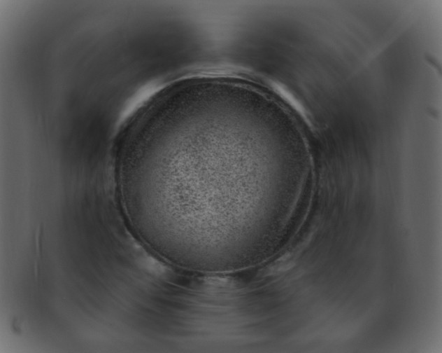 X0000091731456200709071448