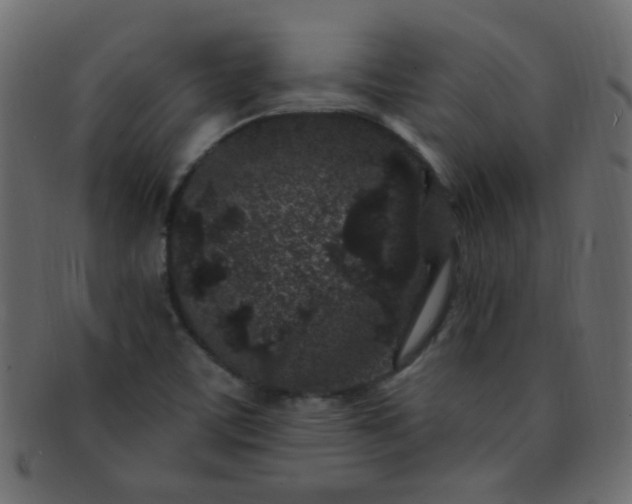 X0000091731459200709071448