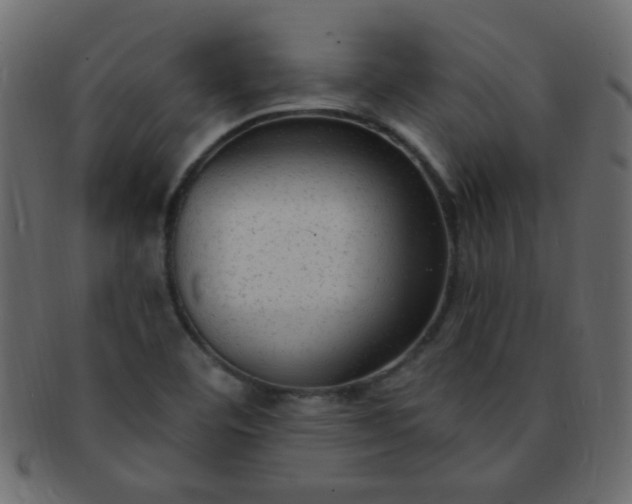 X0000091731460200709071448