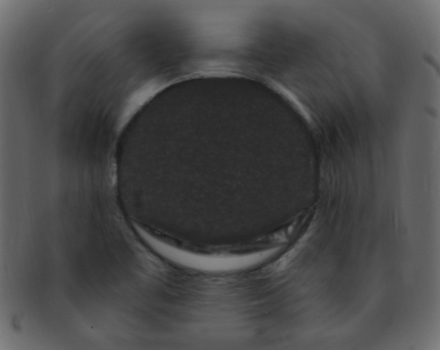 X0000091731461200709071448