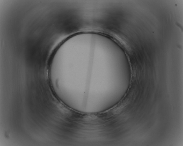 X0000091731462200709071448