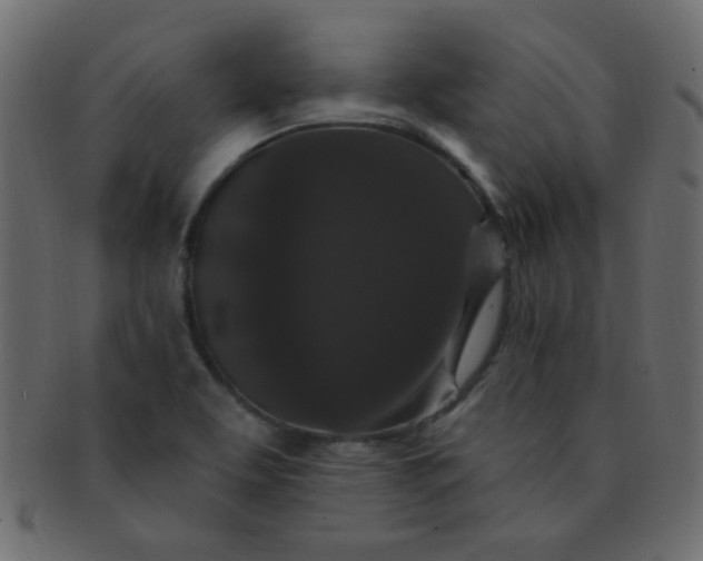 X0000091731463200709071448